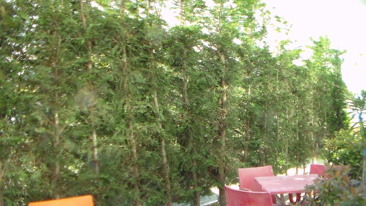 Shkoder Hotel Temali エクステリア 写真